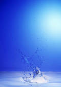 tkf001_120689