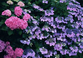 tkf001_121148