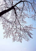 tkf001_121322
