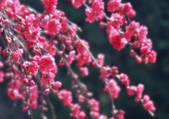 tkf001_121407