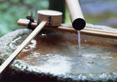 tkf001_124808