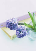 tkf001_125574