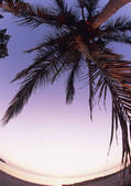 tkf001_125773