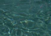 tkf001_125868