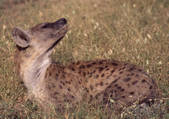 tkf001_126257