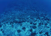 tkf001_127891