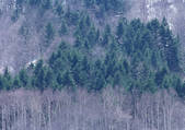tkf001_129320