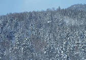 tkf001_129321