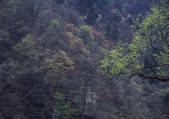 tkf001_129960