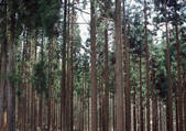 tkf001_130215