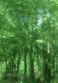 tkf001_131767