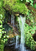 tkf001_133581