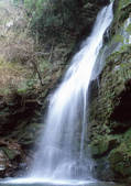 tkf001_133707