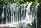 tkf001_133716
