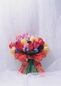 tkf001_134917