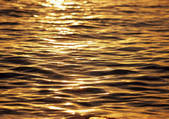 tkf001_135465