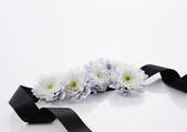 tkf001_136440