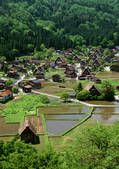 tkf001_137644