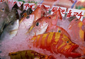 tkf001_138814