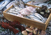 tkf001_139648