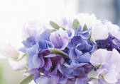 tkf001_147701