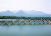 tkf001_150355