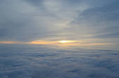 tkf001_166808