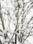 tkf001_170218