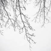 tkf001_170221