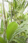 tkf001_171432