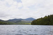 tkf001_175993