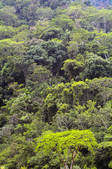 tkf001_181034