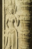 tkf001_184991