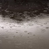 tkf001_202514
