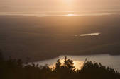 tkf001_203849