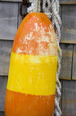 tkf001_203868