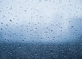 tkf001_205589