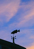 tkf001_206676