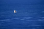tkf001_206941