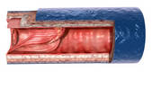 tkf001_212506