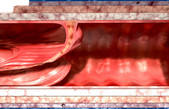 tkf001_212509