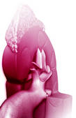 tkf001_212647
