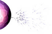 tkf001_212720