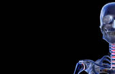 tkf001_213202