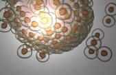 tkf001_216824