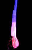 tkf001_219144