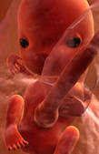 tkf001_219888