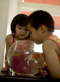 tkf001_234922
