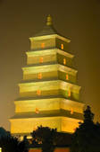tkf001_303750