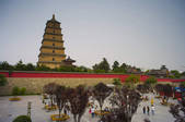 tkf001_303931